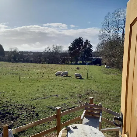 Under The Stars Shepherds Huts At Harbors Lake Newchurch  Exterior photo