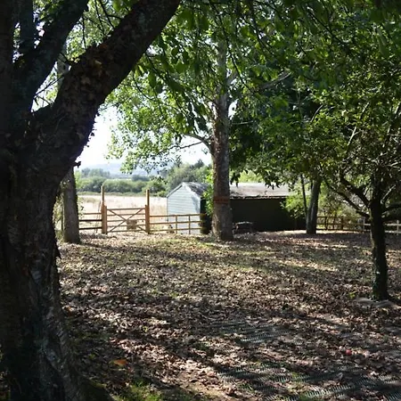 Under The Stars Shepherds Huts At Harbors Lake Newchurch  Exterior photo