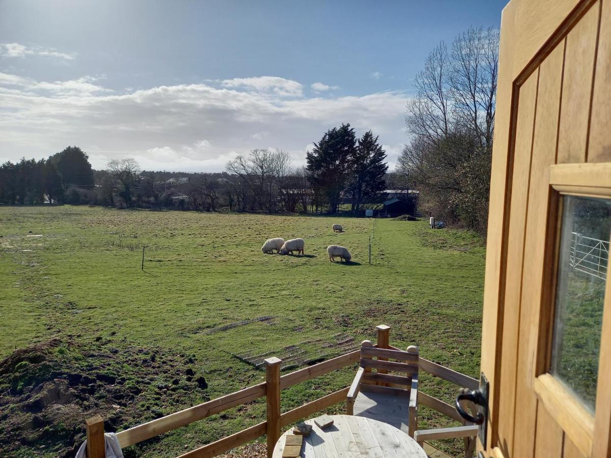 Under The Stars Shepherds Huts At Harbors * Newchurch (Isle of Wight)