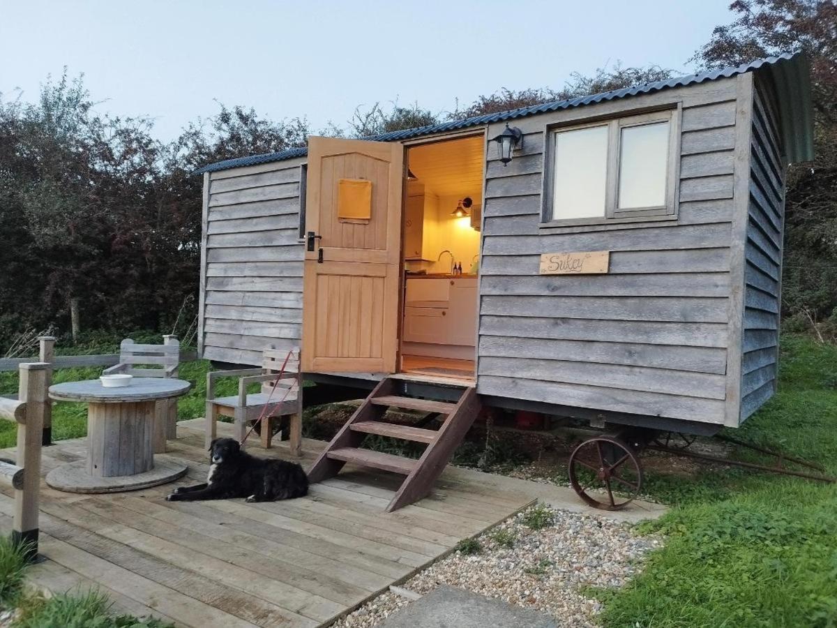 Under The Stars Shepherds Huts At Harbors * Newchurch (Isle of Wight)