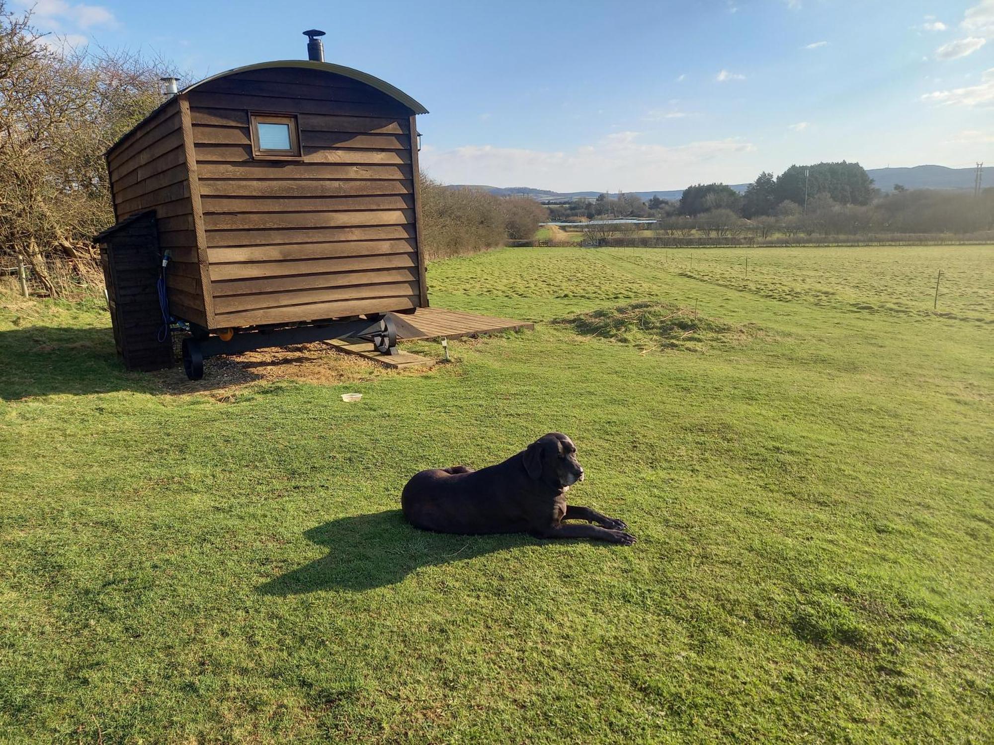 Under The Stars Shepherds Huts At Harbors Chalet Newchurch (Isle of Wight)
