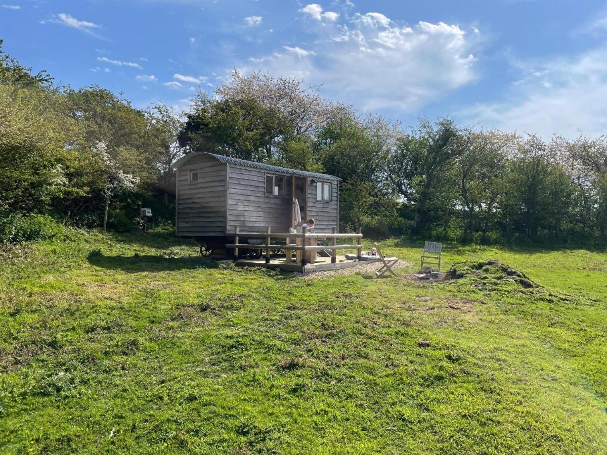 Under The Stars Shepherds Huts At Harbors Chalet